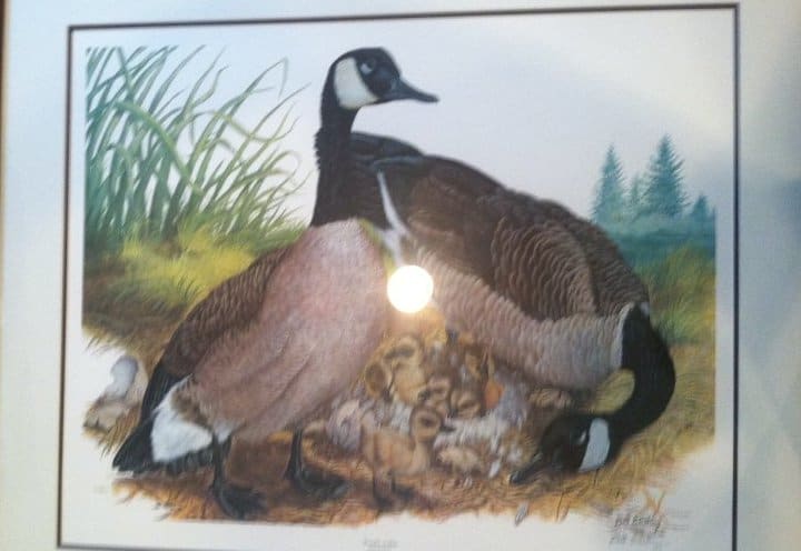 Like Father-Like Son by Bill Wesling 