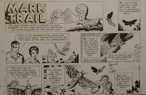 Mark Trail - Original Signed by Ed Dodd 