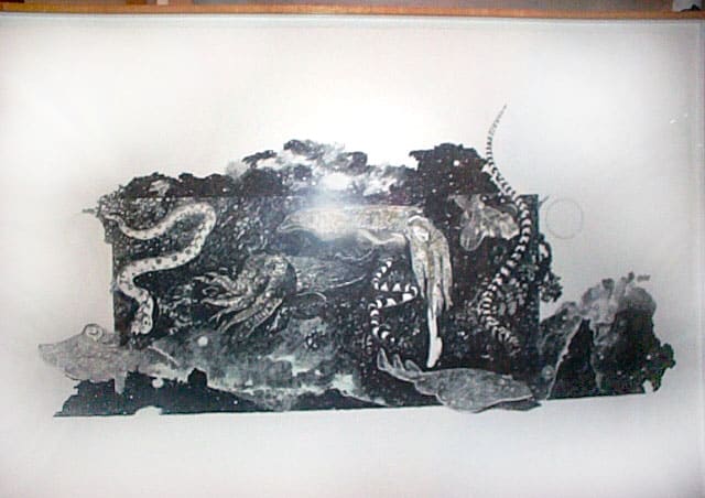 Serpens II by Ann McCoy, Image 1.