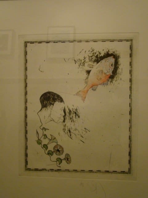 Face and Fish by Donald Saff 
