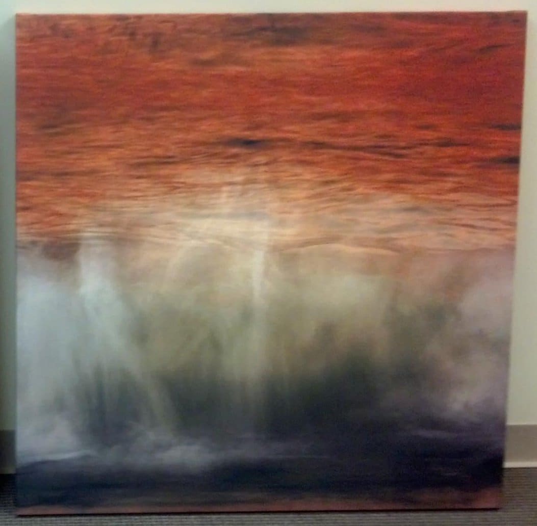 The Mutable Sea Series by Lee Anne White 