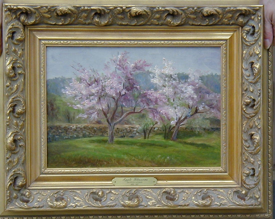 Apple Blossoms 