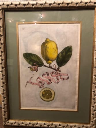 Limon Dulci Medulla Olysiponesis 