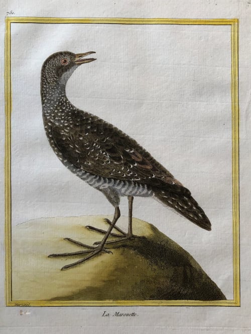 La Marouette by Francois-Nicolas Martinet 