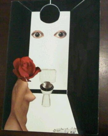 Indiserection by Andre Sorel 