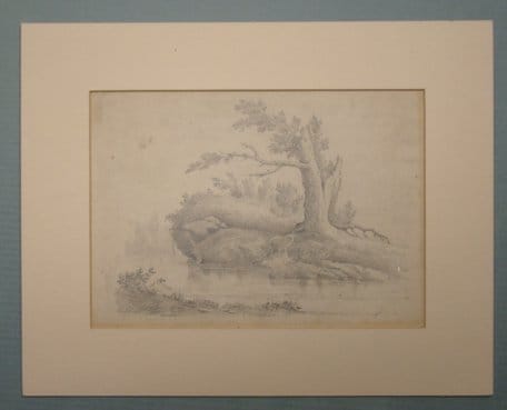 Tree by a Stream by David Johnson 