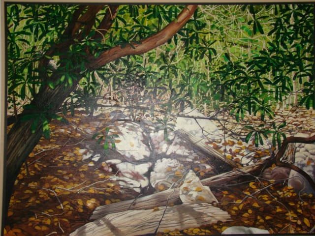 Dry Creek Bed by Gregory Johnson 