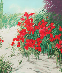 Shoreline Poppies by Gregory Johnson 