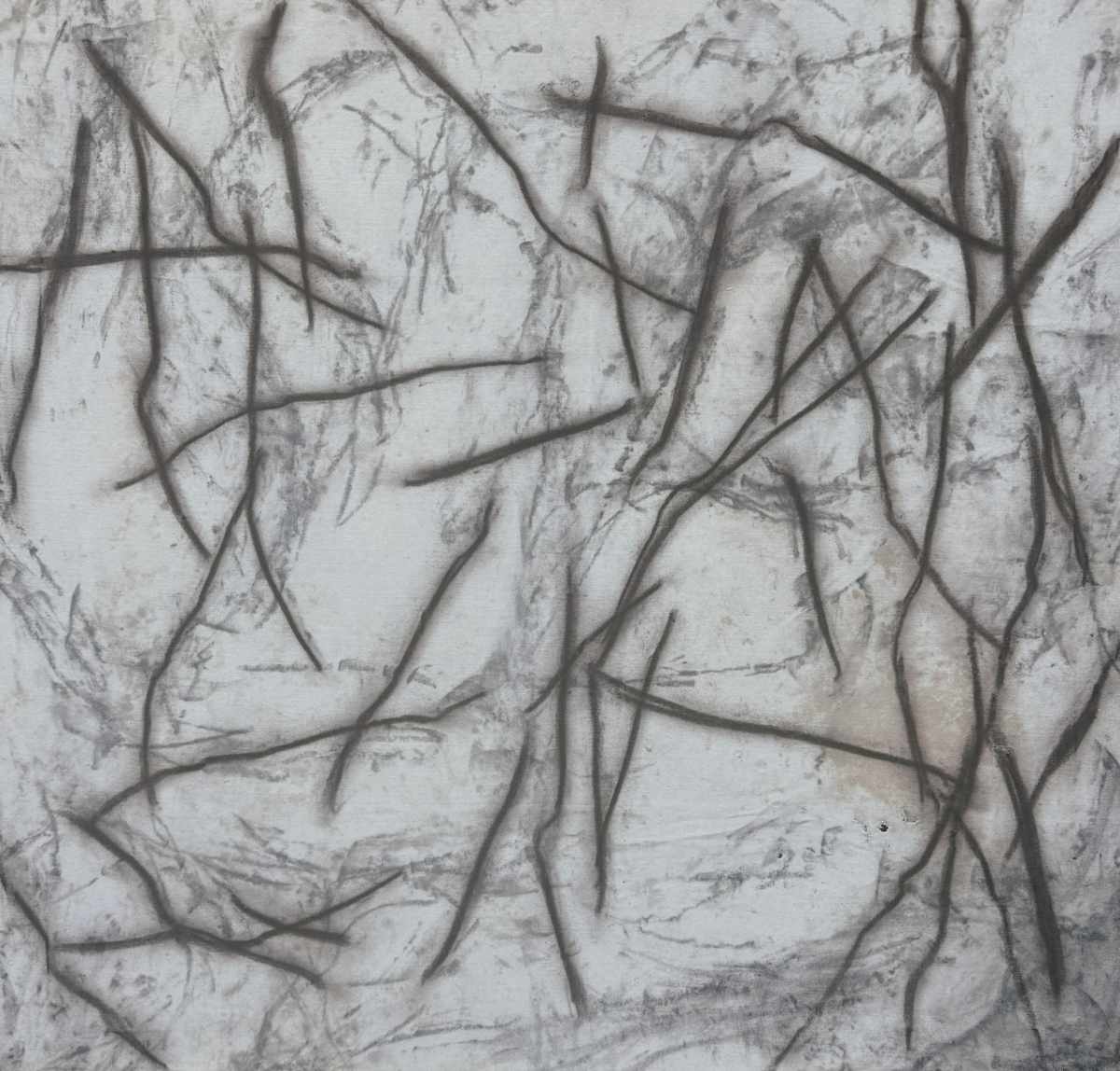 Shapes of Earth: Keeping Everything I Found by Rachel Kice, Image 1.