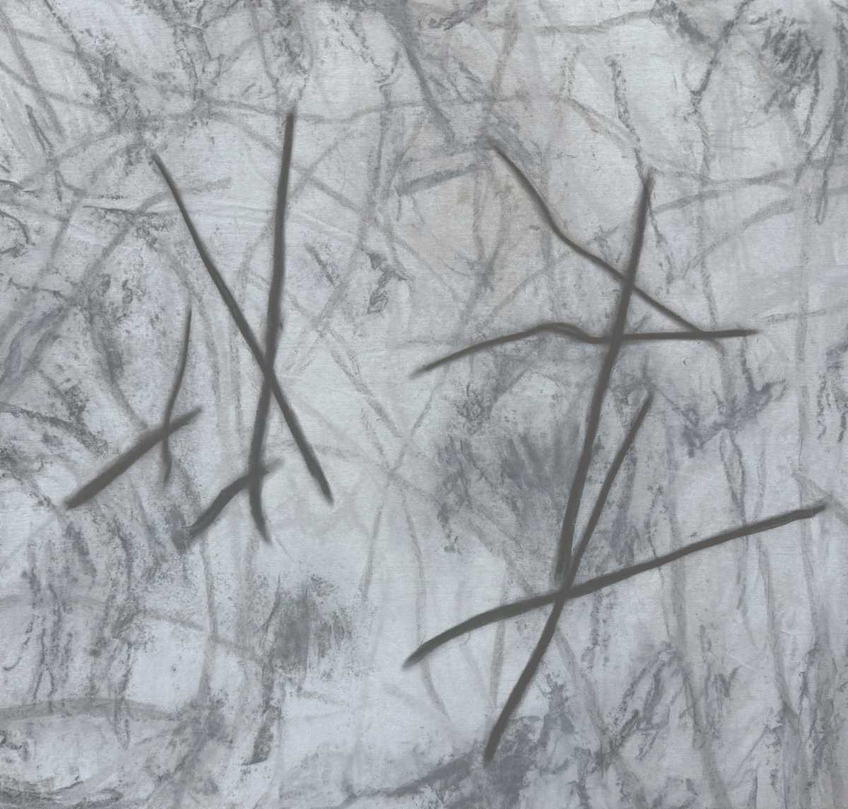 Shapes of Earth: Finding What I Will Keep by Rachel Kice, Image 1.