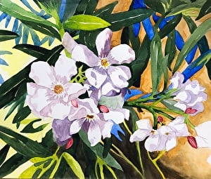 Mexican Flowers by Margaret Park 