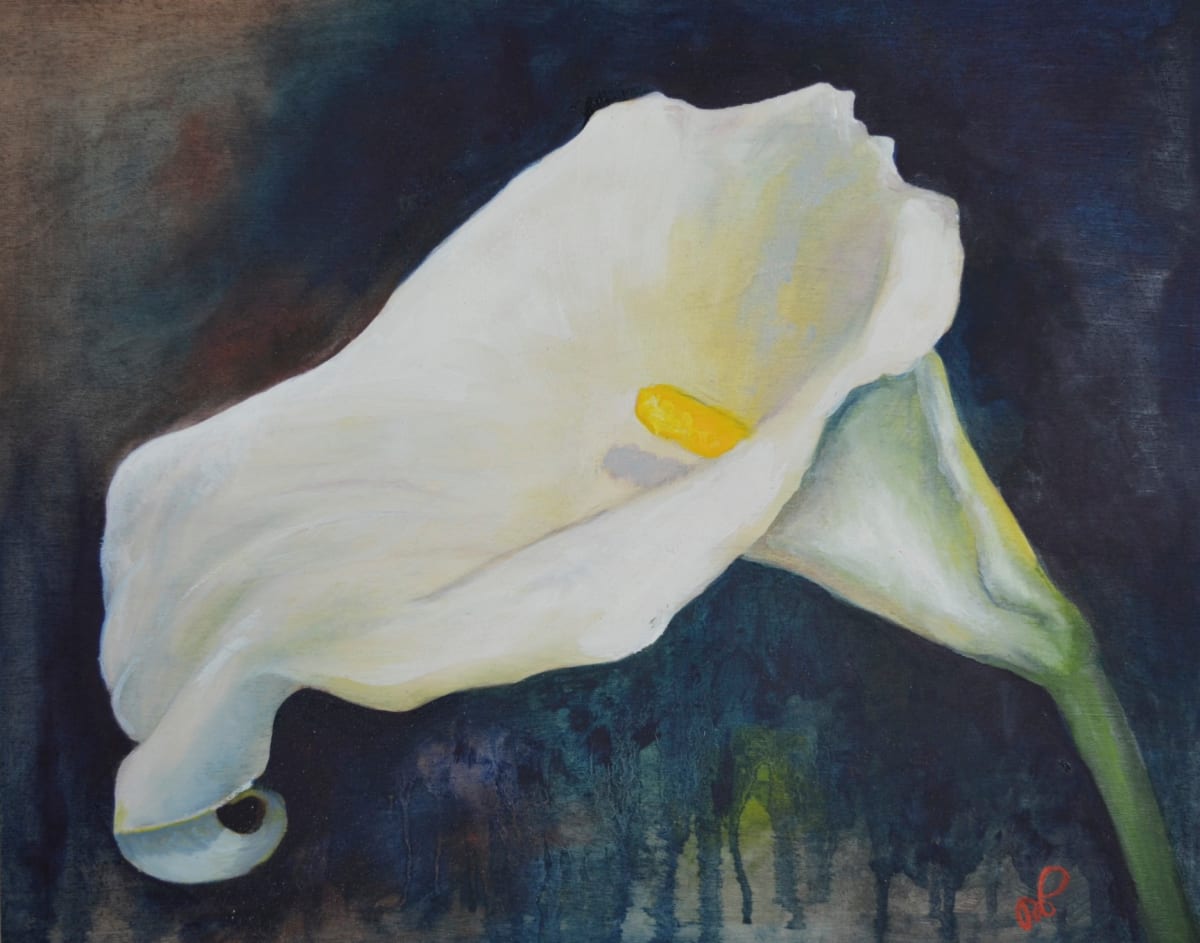 Calla Lily by Margaret Park 