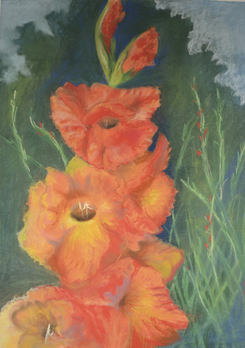 Glads by Margaret Park 