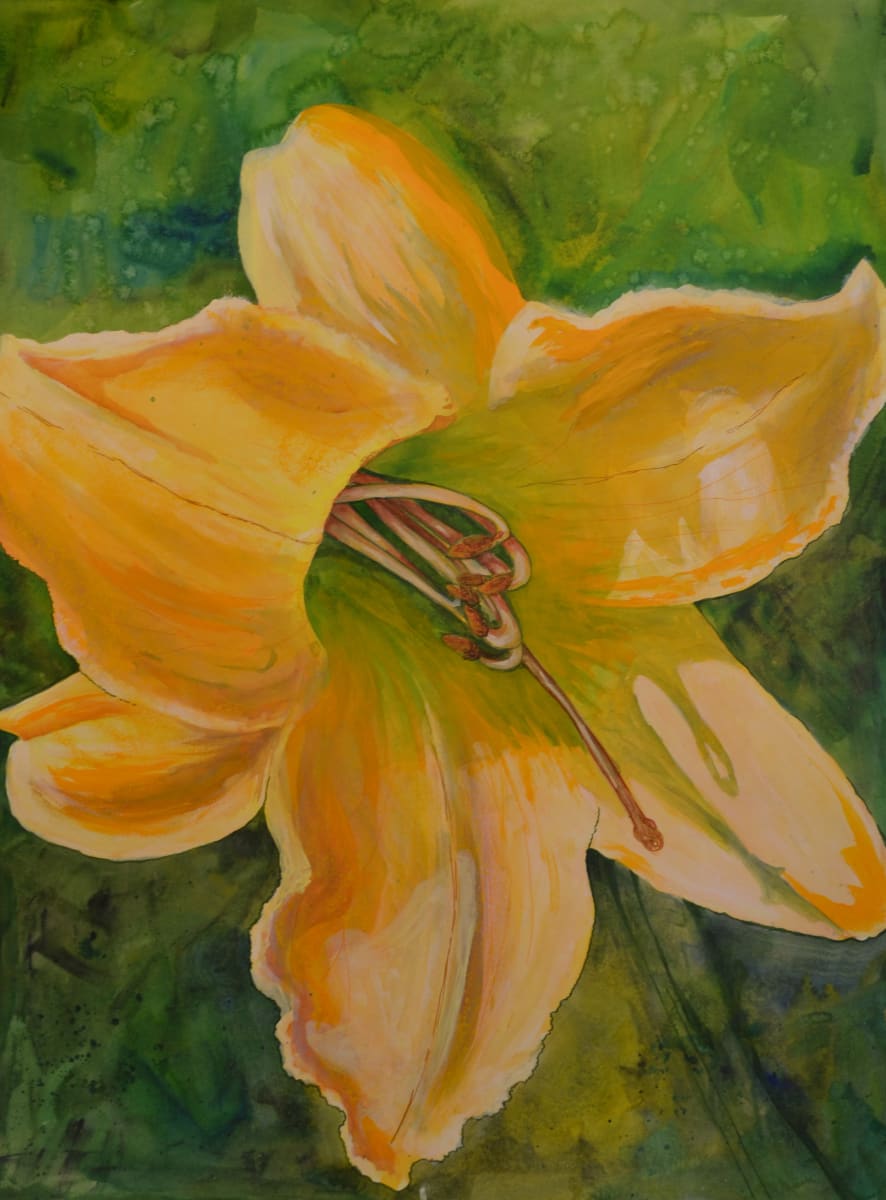 Day With Lily, A by Margaret Park 