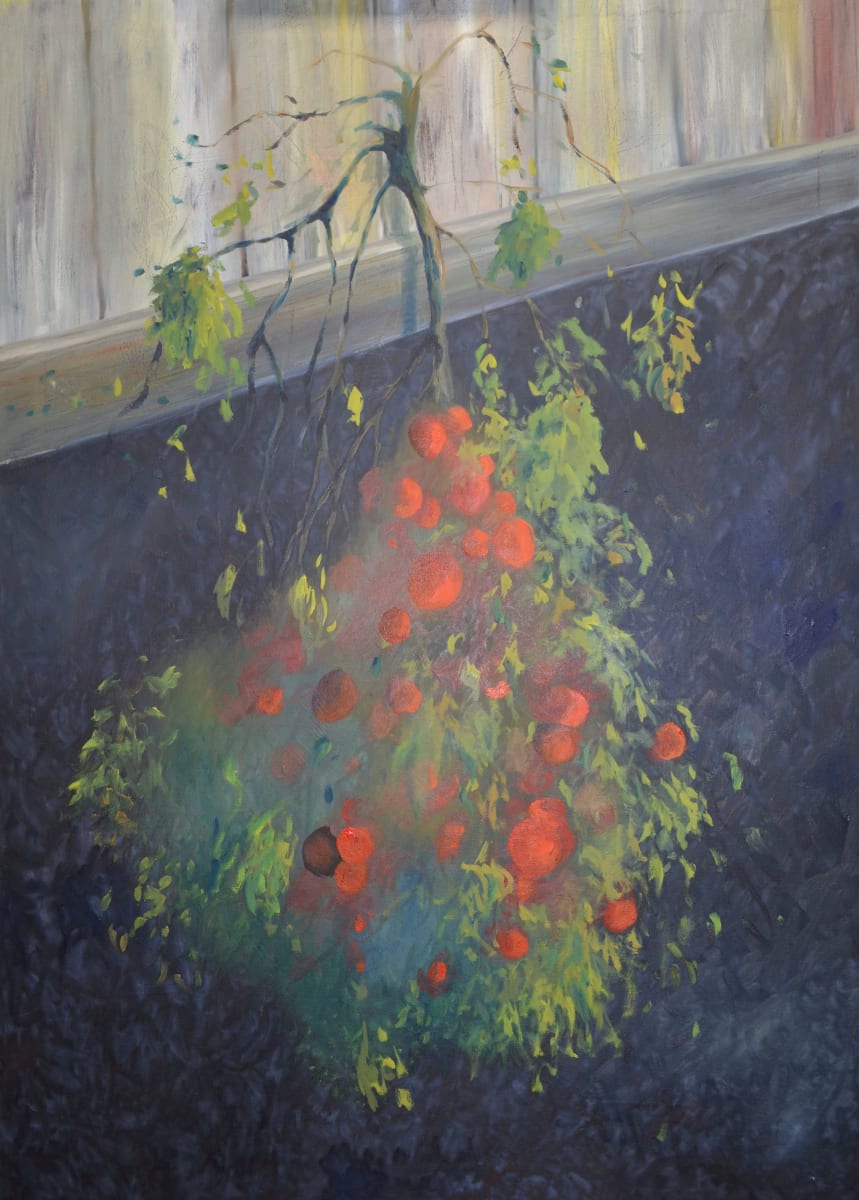 Life by Margaret Park  Image: This little bush was hung upside down over a barn door. I assume it was put there to dry and then converted into something else.