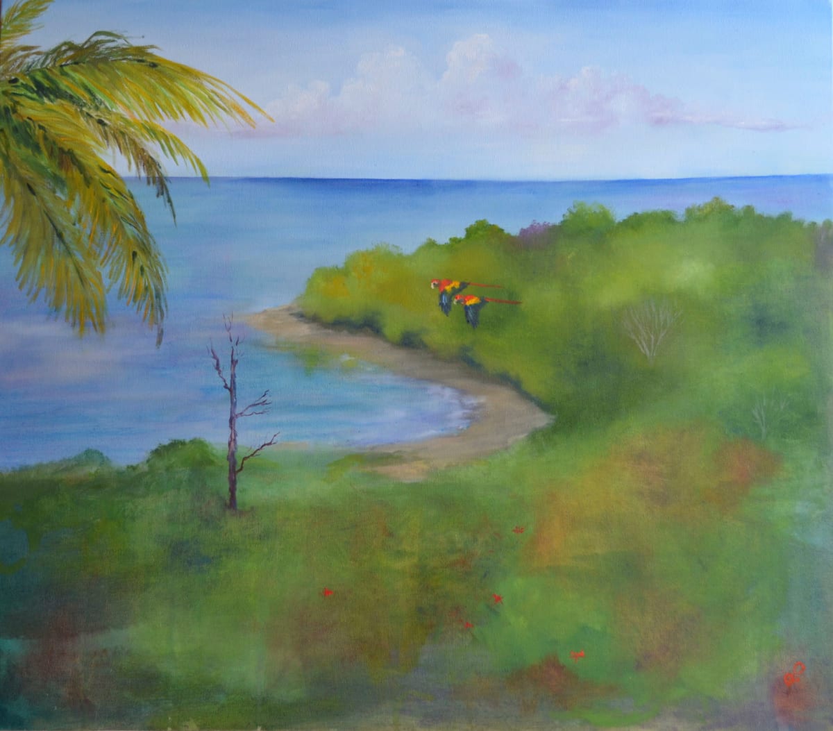 Lapa Rios by Margaret Park, Image 1.