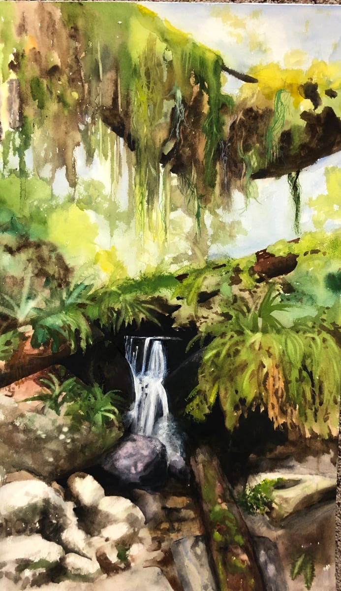 Trillium Falls by Margaret Park 