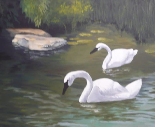 For Life by Margaret Park 