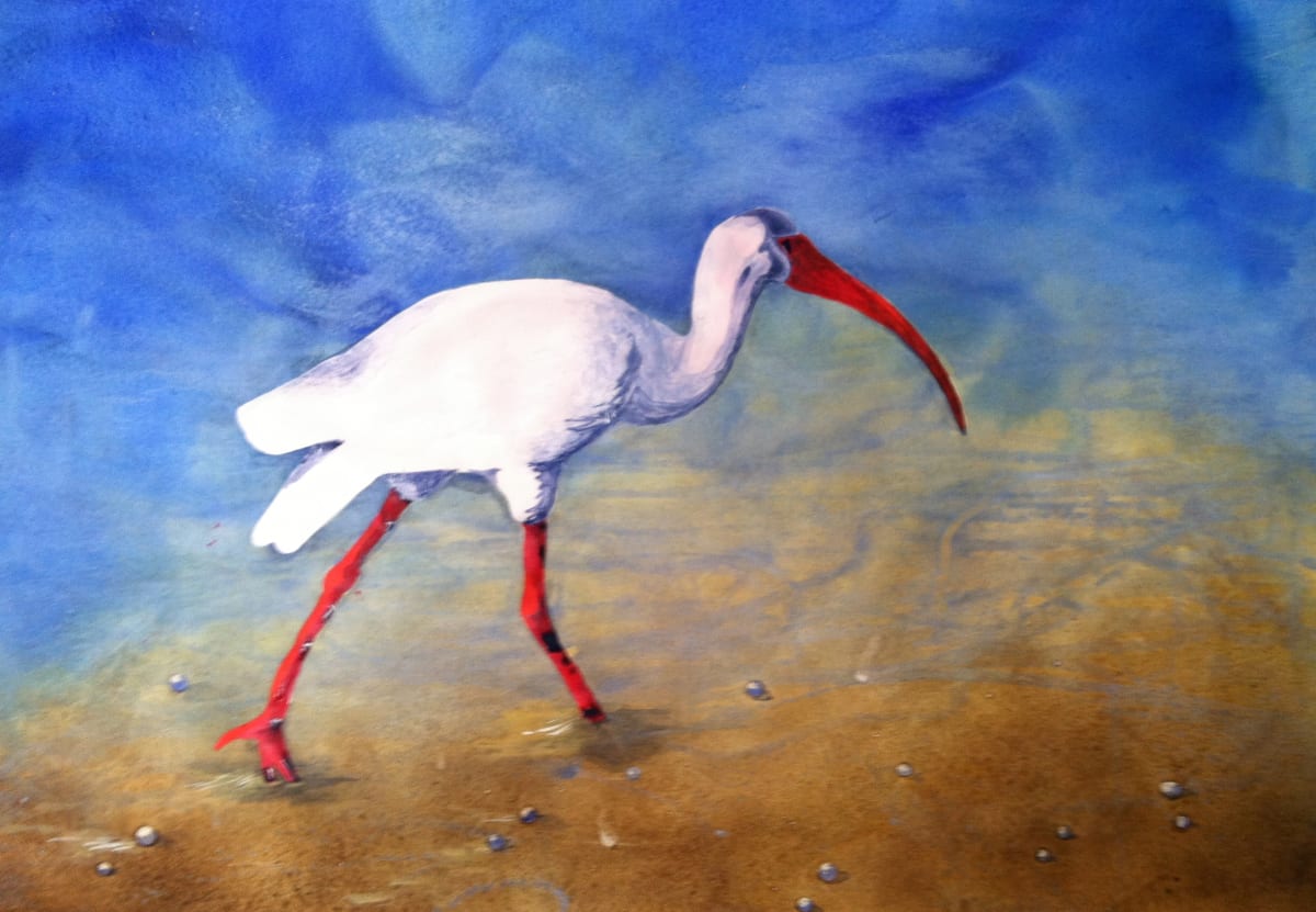 Ibis by Margaret Park 