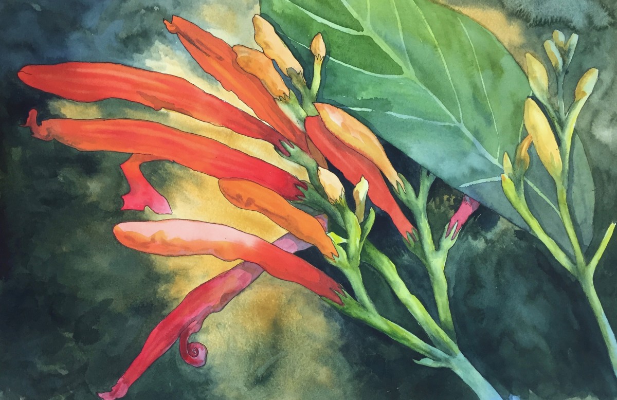 Tropical Fire by Margaret Park 