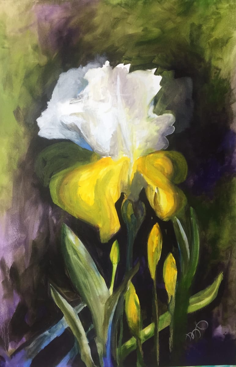 Iris Glow by Margaret Park, Image 1.