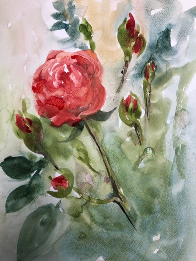 May Roses II by Margaret Park 