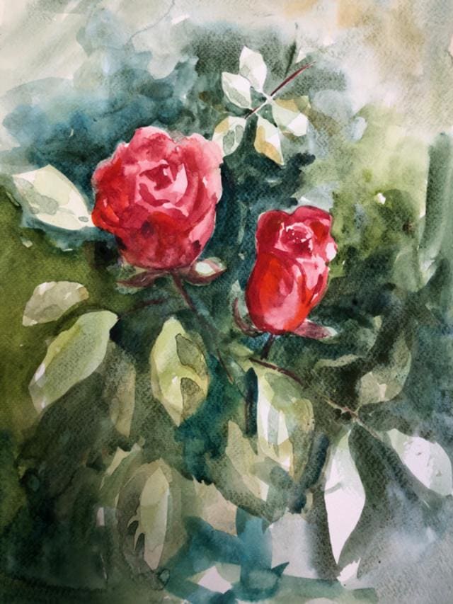 May Roses I by Margaret Park 