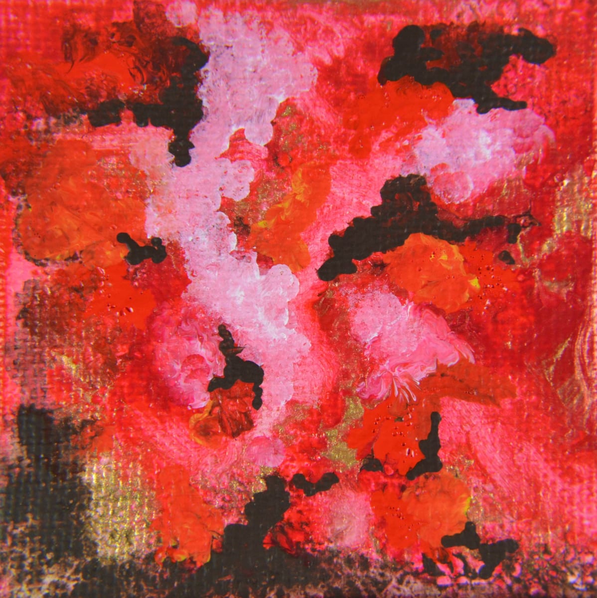 Rosewood by Margaret Park 