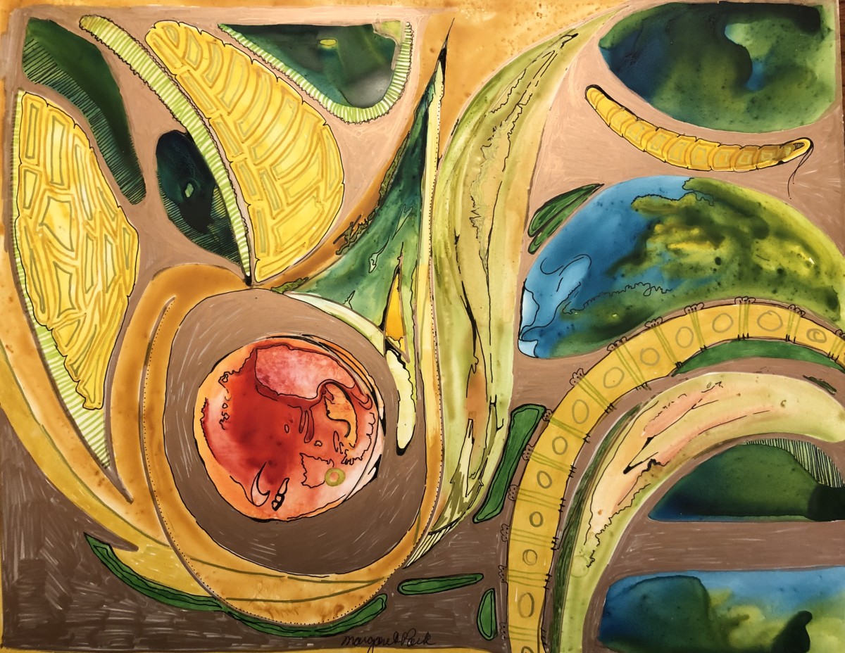 Of Note by Margaret Park 