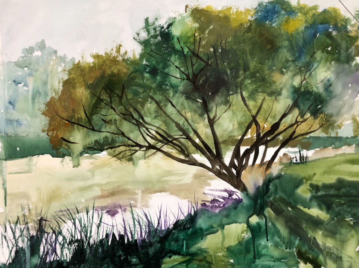 Special Memory, A by Margaret Park 