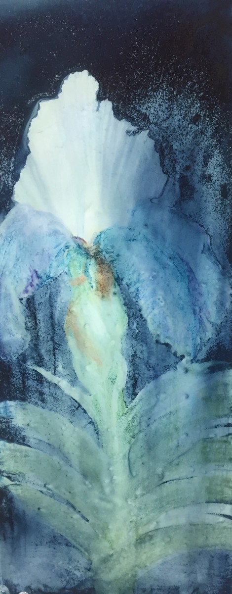 Moonlit Iris by Margaret Park, Image 1.
