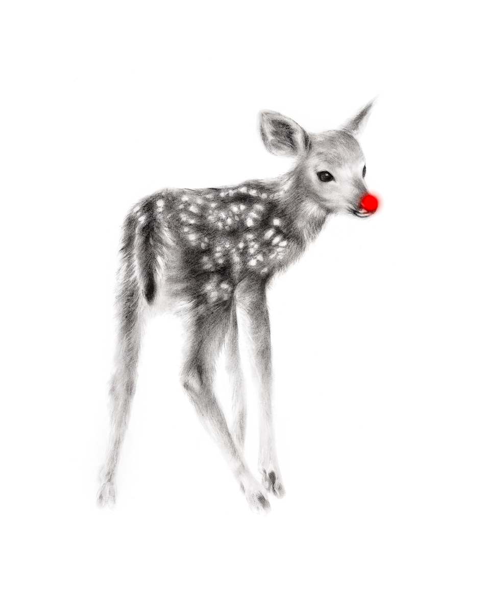 FAWN WITH RED NOSE by Sarah Jaynes  Image: Fawn with Red Nose
445 KB