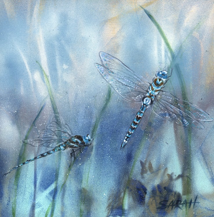 IMAGINATION IS MY BEST FRIEND by Sarah Jaynes  Image: IMAGINATION IS MY BEST FRIEND
Sarah Jaynes
2022
Acrylic and Spray Paint
8x8 in
