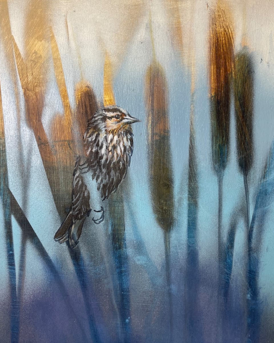 FEMALE RED WING by Sarah Jaynes, Image 2.