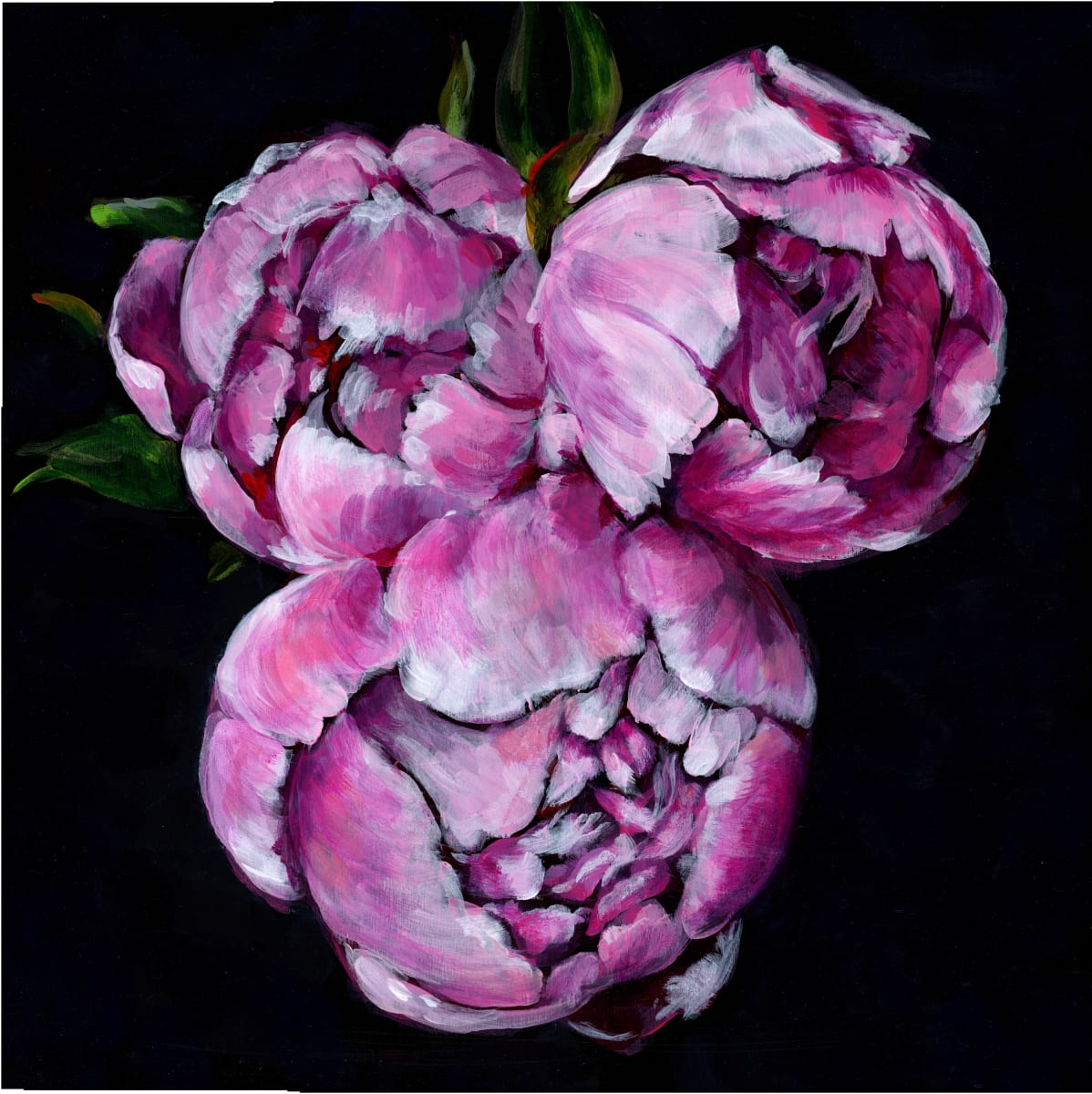 PEONY TRILOGY by Sarah Jaynes  Image: PEONY TRILOGY
Sarah Jaynes
2021
Acrylic
12x12 in