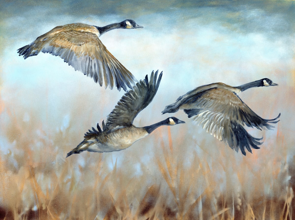 FLYING GEESE by Sarah Jaynes  Image: FLYING GEESE
Sarah Jaynes
2022
Acrylic and Spray Paint
30x40 in
