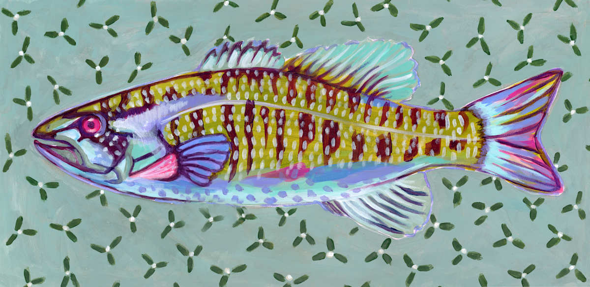 SMALLMOUTH by Sarah Jaynes 
