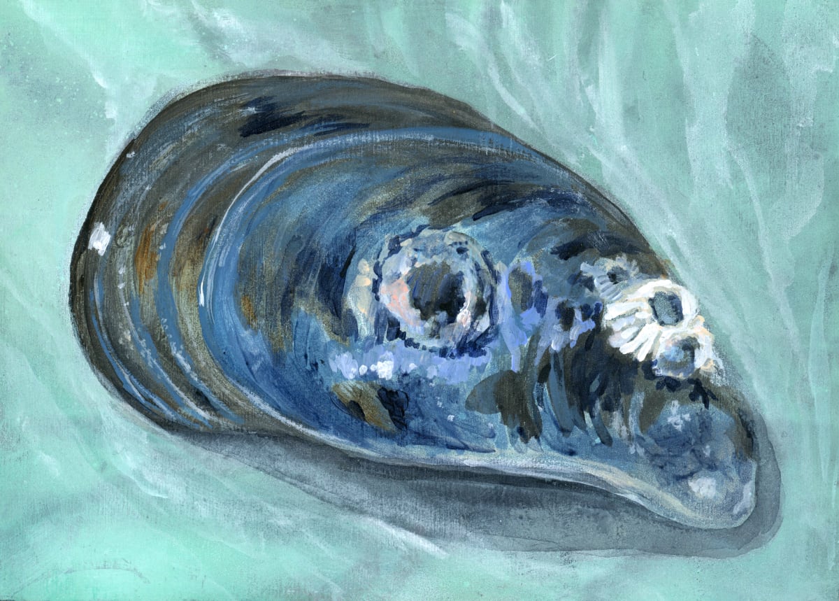 MUSSEL by Sarah Jaynes  Image: MUSSEL SHELL
Sarah Jaynes
2022
Acrylic
5x7 in