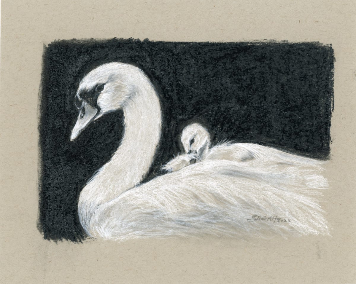 SWAN AND SIGNET by Sarah Jaynes  Image: SWAN AND SIGNET
Sarah Jaynes
2022
Charcoal and Chalk
5x7 in