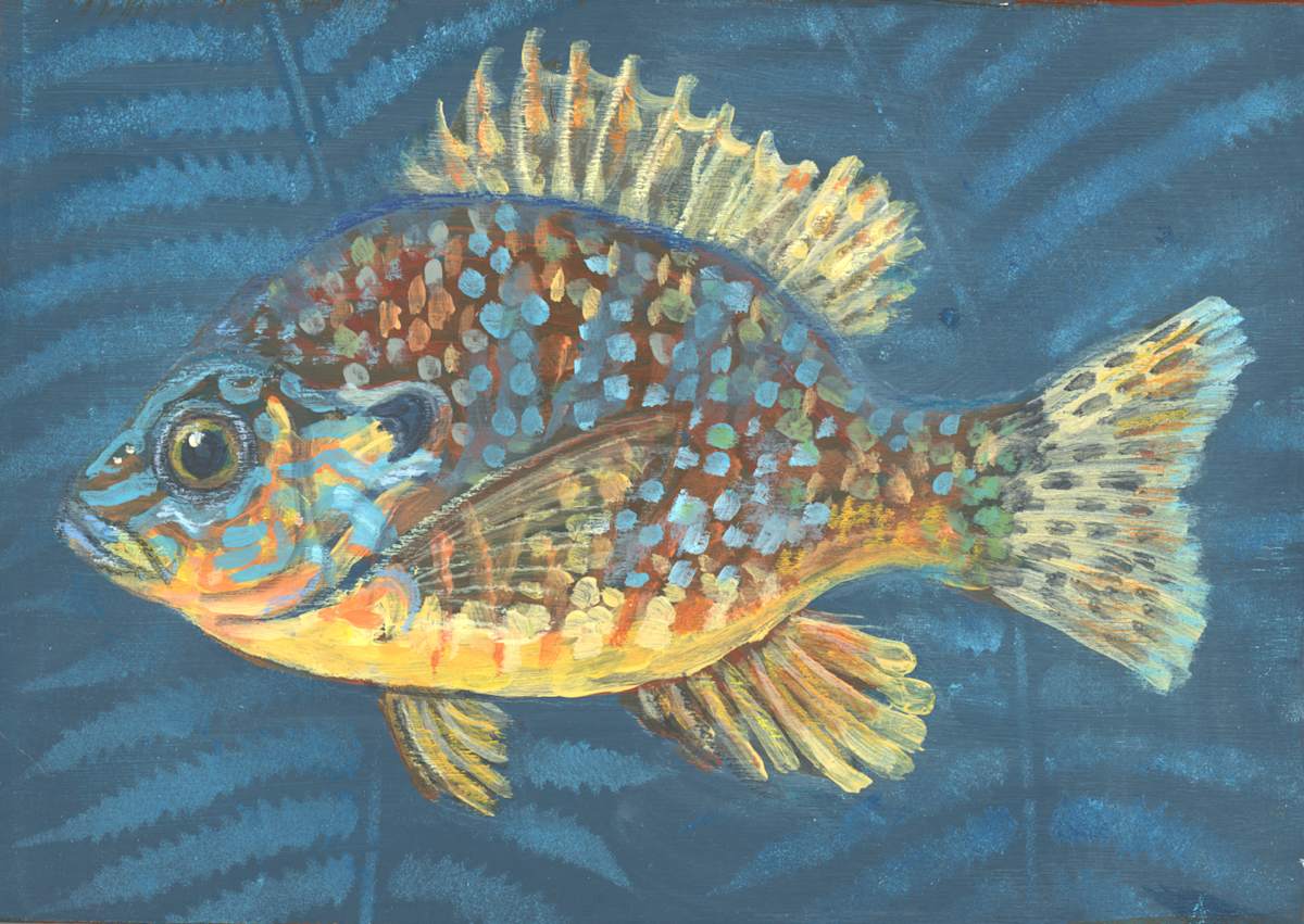 SUNFISH by Sarah Jaynes  Image: SUNFISH
Sarah Jaynes
5x7 inches
Acrylic and Spray Paint on wood
2023