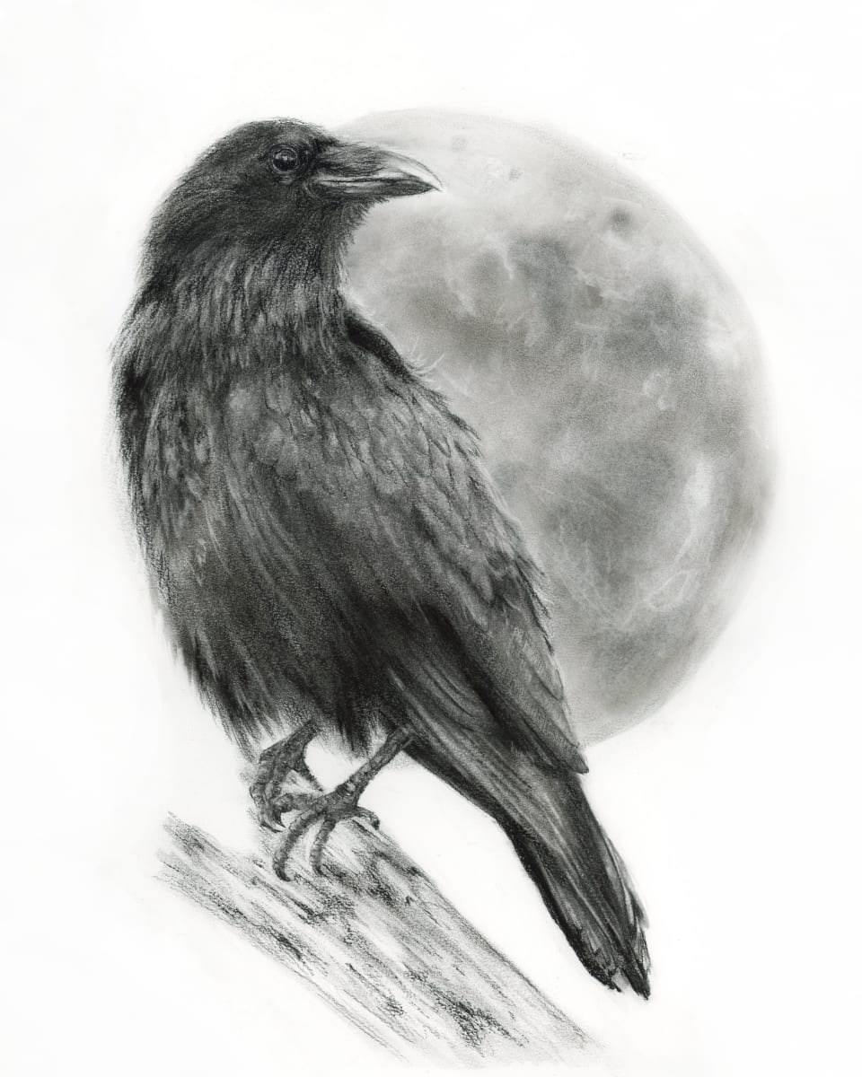 Raven and Moon by Sarah Jaynes  Image: RAVEN AND MOON
Sarah Jaynes
2023
Charcoal on paper
1`6x20 inches