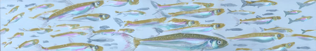 RAINBOW SMELT by Sarah Jaynes  Image: RAINBOW SMELT
Sarah Jaynes
6x36 inches
Acrylic on wood
2023