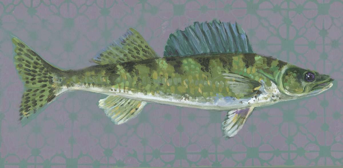WALLEYE B by Sarah Jaynes  Image: Walleye B
Sarah Jaynes
6x12 inches
Spray Paint and Acrylic on Wood
2023