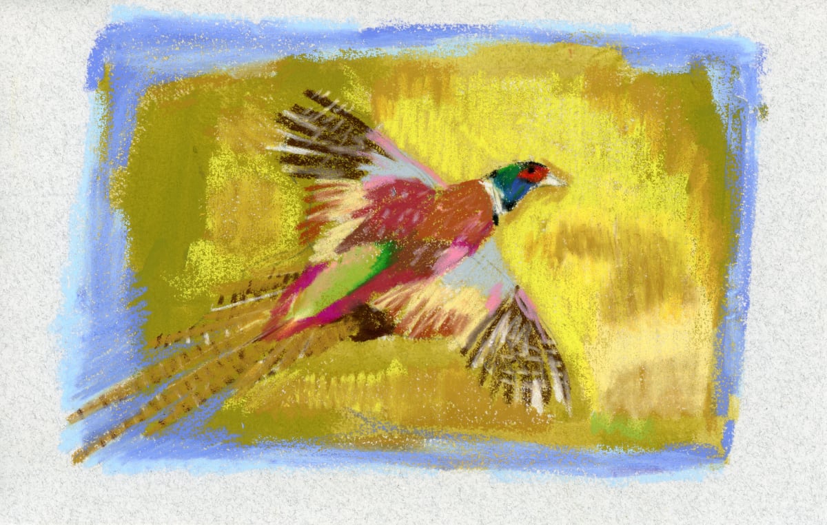 PHEASANT SKETCH by Sarah Jaynes  Image: PHEASANT SKETCH
Sarah Jaynes
5x7 on 6x9 paper
Acrylic and oil pastel on paper
2023