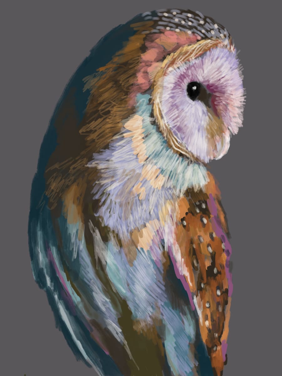 BARN OWL Digital by Sarah Jaynes  Image: BARN OWL Digital
Sarah Jaynes
2048x2732 
Procreate
2024