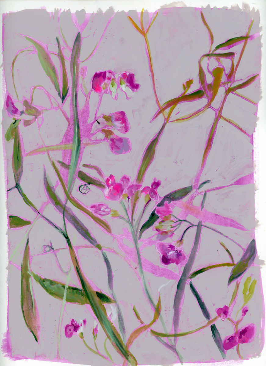 Sweet Pea Sketch by Sarah Jaynes  Image: Sweet Pea Sketch
Acrylic on 140lb Canson paper
9x12
Sarah Jaynes
2024