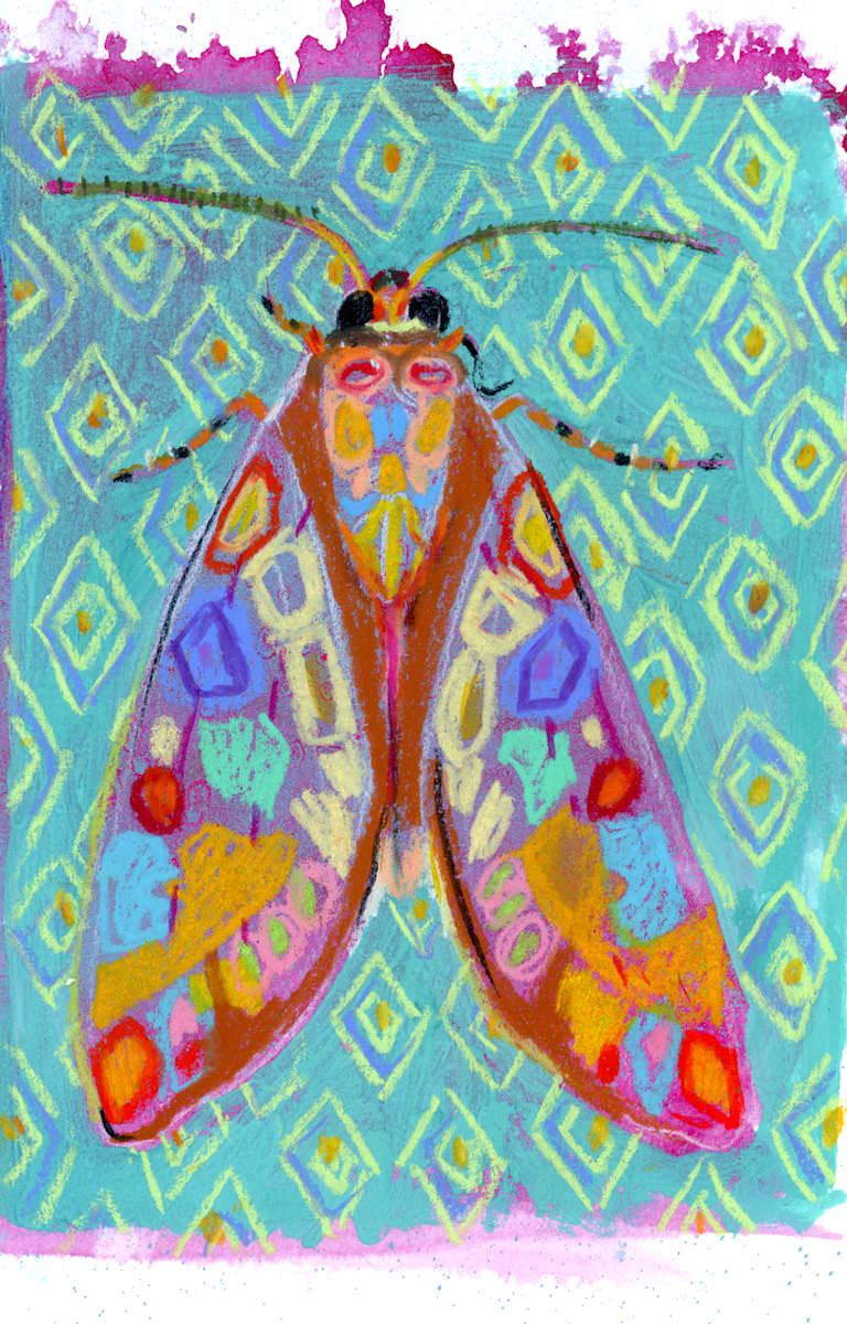 MOTH SKETCH by Sarah Jaynes  Image: MOTH SKETCH
Acrylic and Oil Pastel
6.5x9.5
Sarah Jaynes
2024
