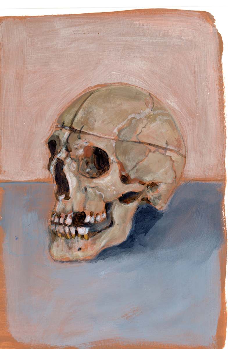 SKULL Bologna by Sarah Jaynes, Image 2.