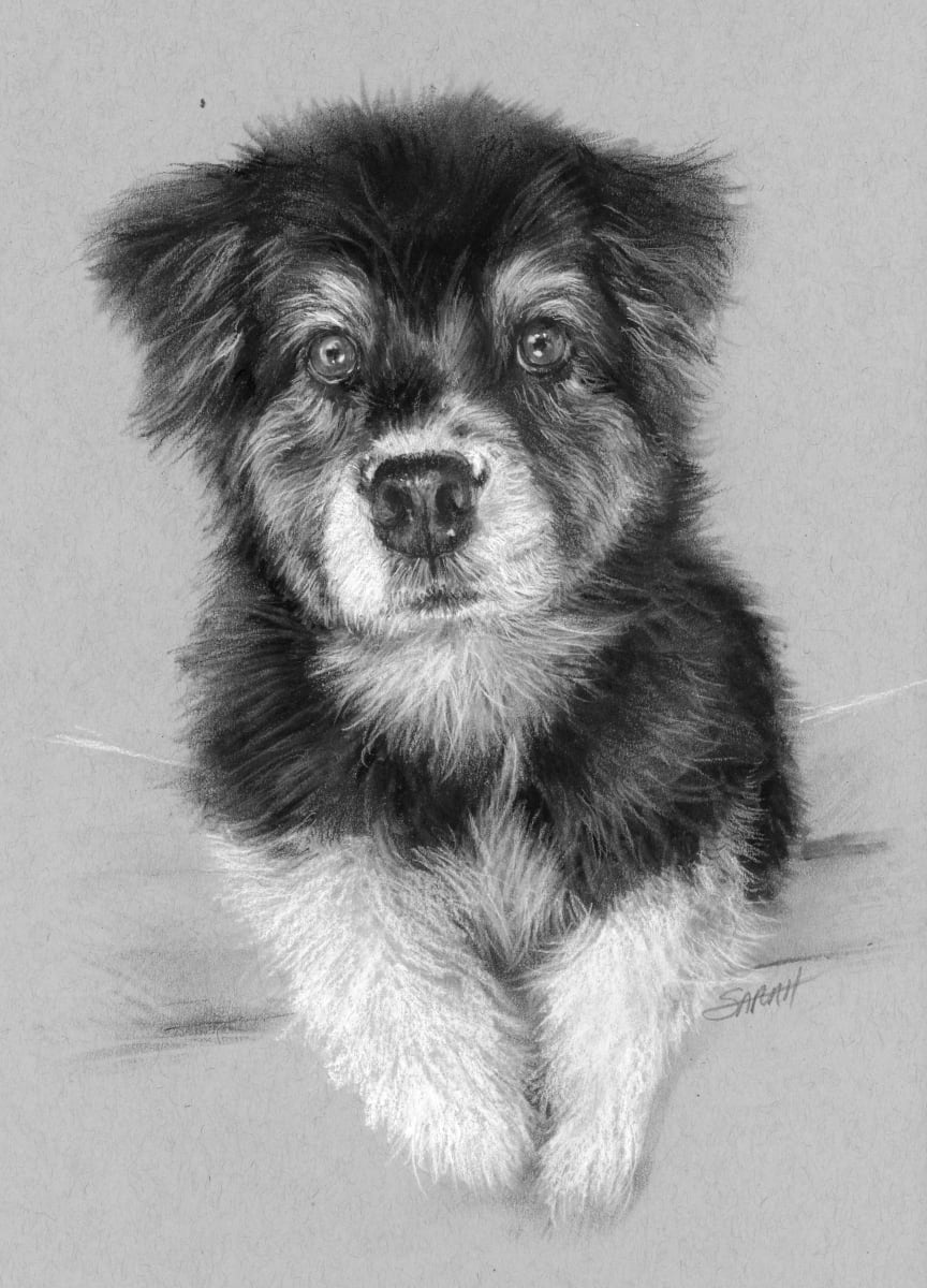 CHRISTINE by Sarah Jaynes  Image: CHRISTINE
Sarah Jaynes
9x12
Charcoal and chalk on toned paper
2024