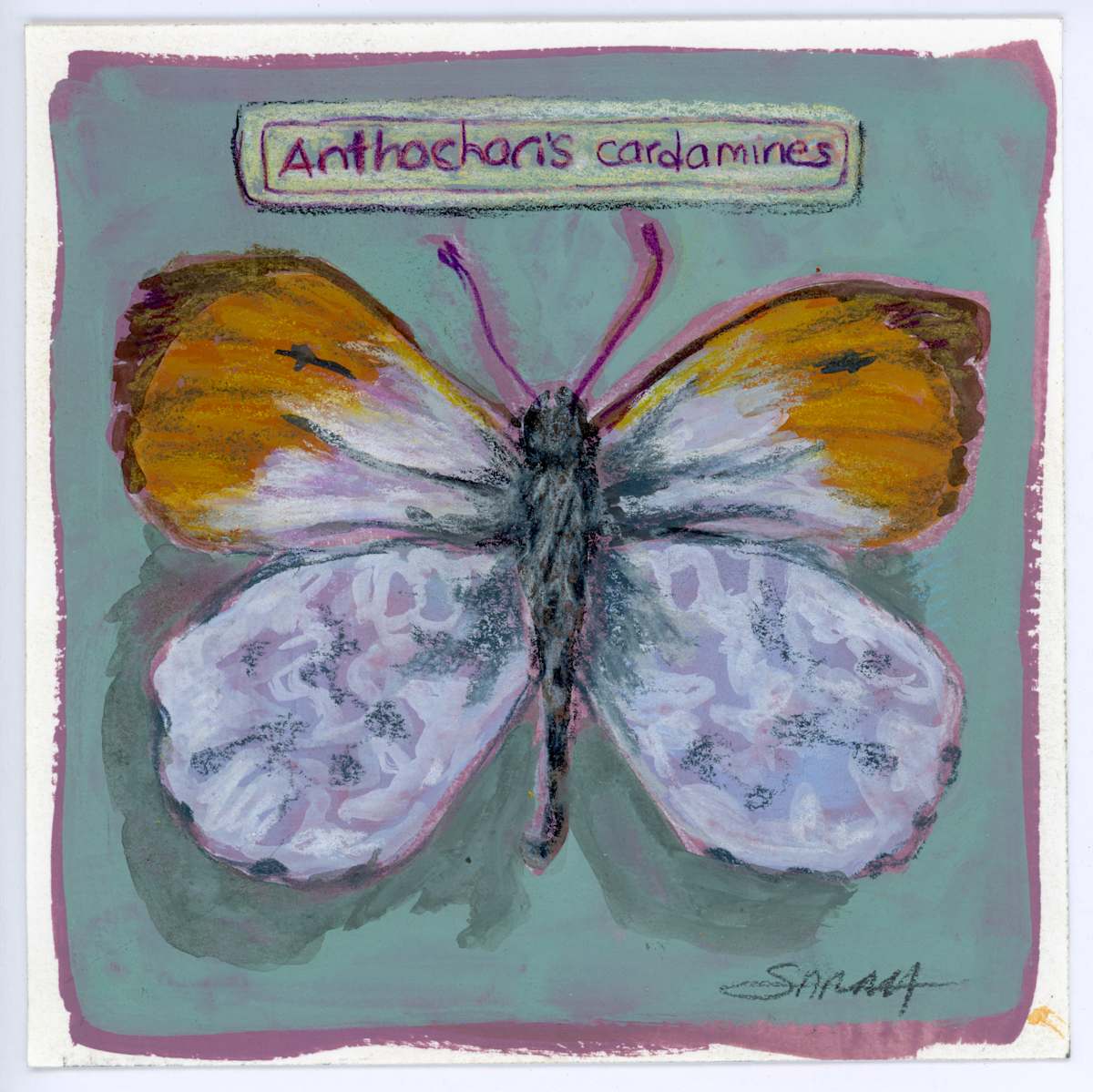 Anthocharis Cardamines by Sarah Jaynes  Image: Anthocharis Cardamines
Gouache and pencil crayon on paper
5x5 inches
Sarah Jaynes
2025